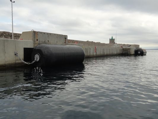 কাস্টমাইজড ফ্লোটিং ফোম টায়ার এবং চেইন দিয়ে পূর্ণ F